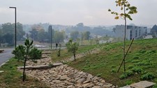 Beleza que Resiste - New European Bauhaus e a resiliência climática do espaço público